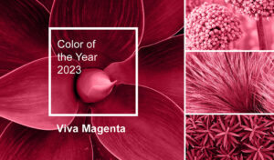 Viva Magenta este culoarea anului 2023